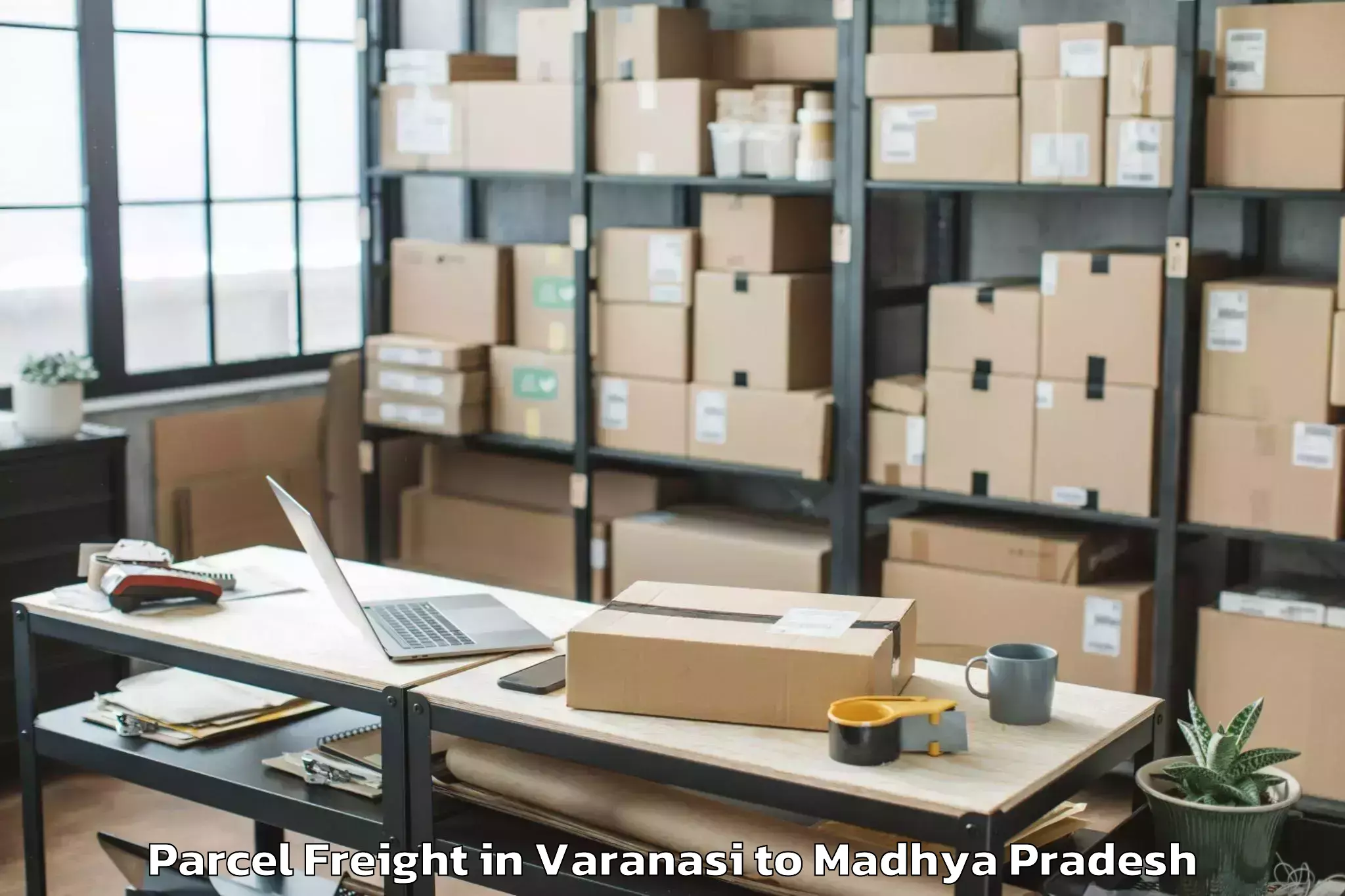 Book Varanasi to Tonk Khurd Parcel Freight